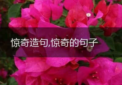 惊奇造句,惊奇的句子