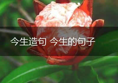 今生造句 今生的句子