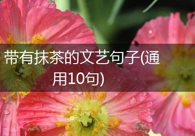 带有抹茶的文艺句子(通用10句)