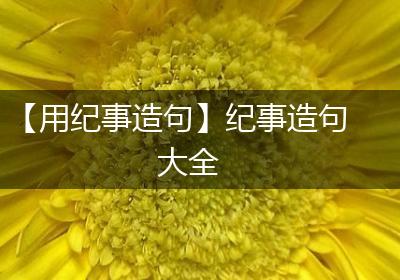 【用纪事造句】纪事造句大全