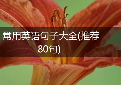 常用英语句子大全(推荐80句)