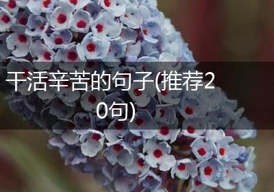 干活辛苦的句子(推荐20句)