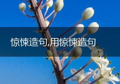 惊悚造句,用惊悚造句