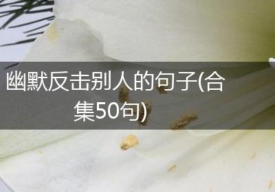 幽默反击别人的句子(合集50句)