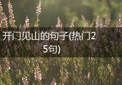开门见山的句子(热门25句)