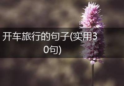 开车旅行的句子(实用30句)