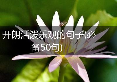 开朗活泼乐观的句子(必备50句)