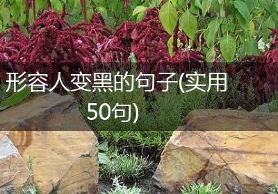 形容人变黑的句子(实用50句)