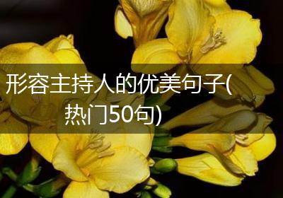 形容主持人的优美句子(热门50句)