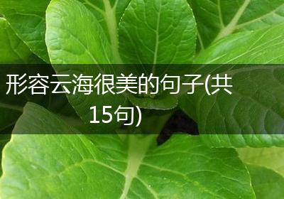 形容云海很美的句子(共15句)