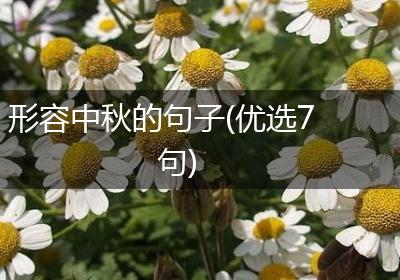 形容中秋的句子(优选7句)