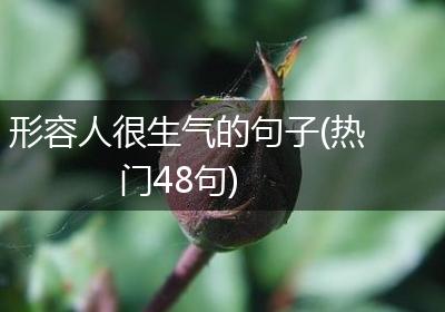 形容人很生气的句子(热门48句)