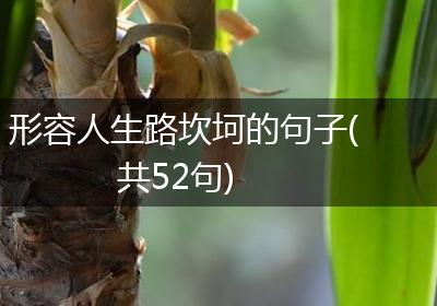 形容人生路坎坷的句子(共52句)