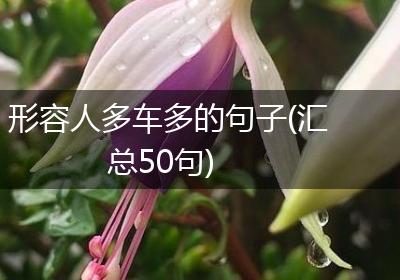 形容人多车多的句子(汇总50句)