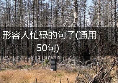 形容人忙碌的句子(通用50句)