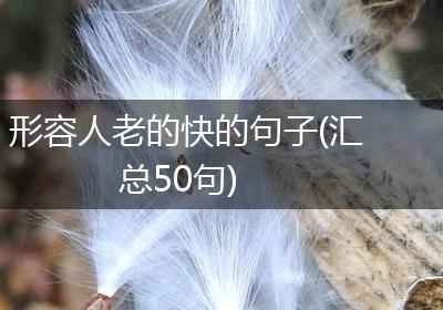 形容人老的快的句子(汇总50句)