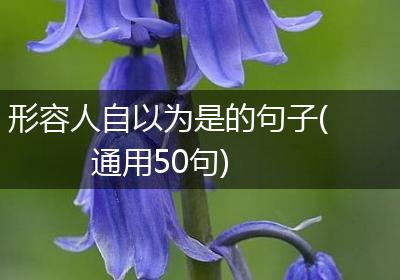 形容人自以为是的句子(通用50句)