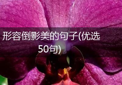 形容倒影美的句子(优选50句)