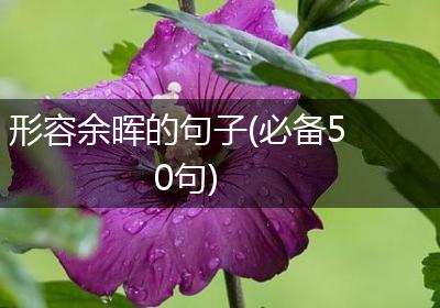 形容余晖的句子(必备50句)
