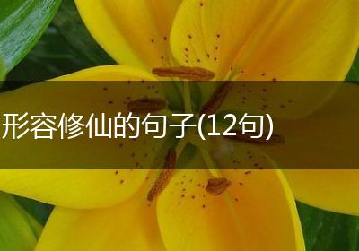 形容修仙的句子(12句)