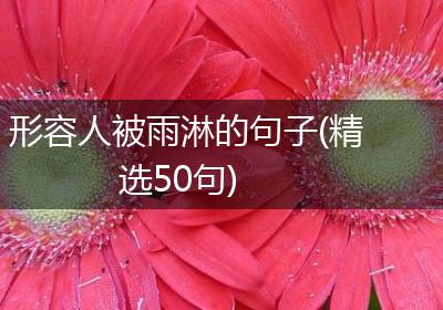 形容人被雨淋的句子(精选50句)