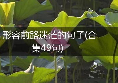形容前路迷茫的句子(合集49句)