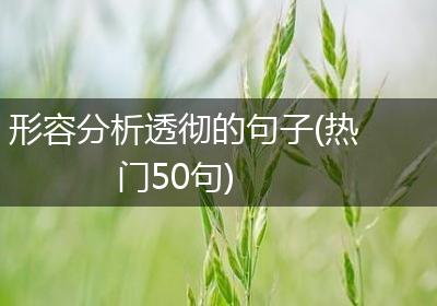 形容分析透彻的句子(热门50句)