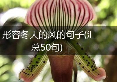 形容冬天的风的句子(汇总50句)
