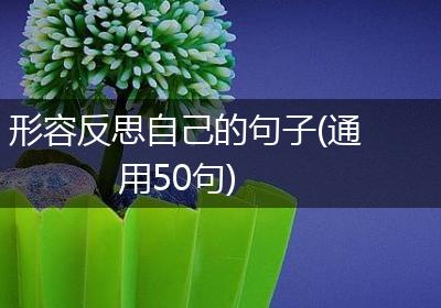 形容反思自己的句子(通用50句)