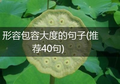 形容包容大度的句子(推荐40句)