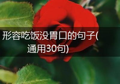 形容吃饭没胃口的句子(通用30句)