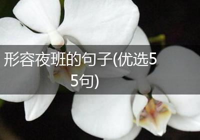 形容夜班的句子(优选55句)