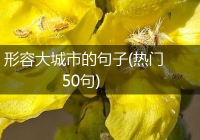 形容大城市的句子(热门50句)