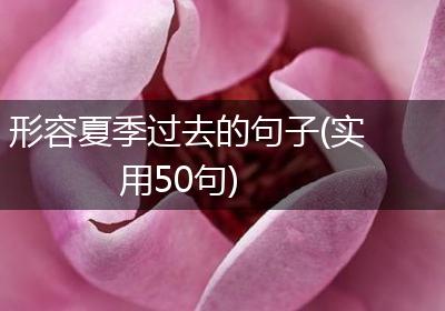 形容夏季过去的句子(实用50句)