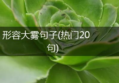 形容大雾句子(热门20句)