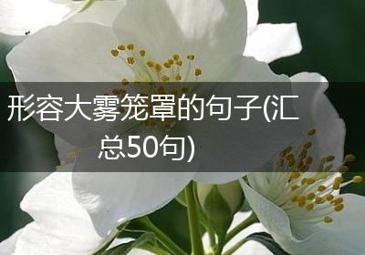 形容大雾笼罩的句子(汇总50句)