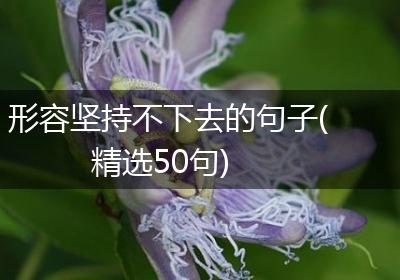 形容坚持不下去的句子(精选50句)