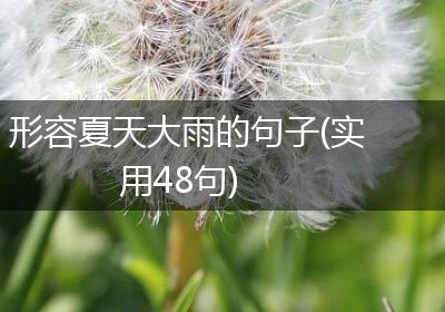 形容夏天大雨的句子(实用48句)