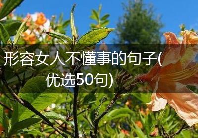 形容女人不懂事的句子(优选50句)