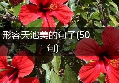 形容天池美的句子(50句)