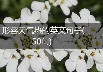 形容天气热的英文句子(50句)