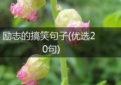 励志的搞笑句子(优选20句)