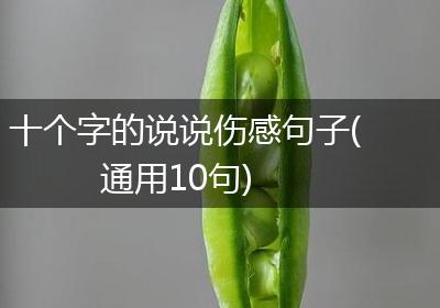 十个字的说说伤感句子(通用10句)