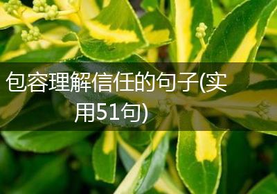 包容理解信任的句子(实用51句)