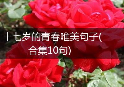 十七岁的青春唯美句子(合集10句)