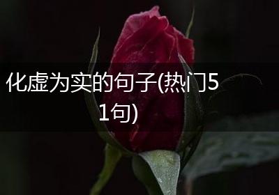 化虚为实的句子(热门51句)