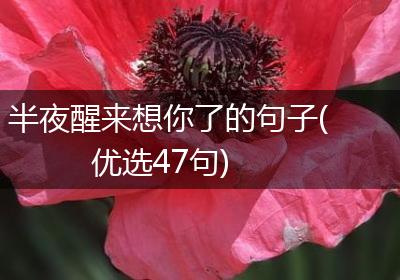 半夜醒来想你了的句子(优选47句)