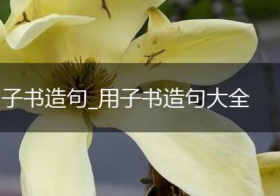 子书造句_用子书造句大全
