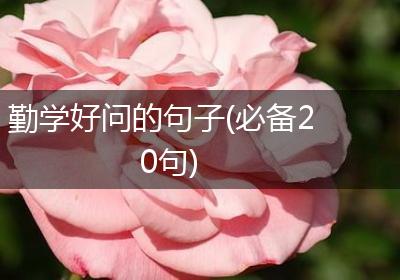 勤学好问的句子(必备20句)