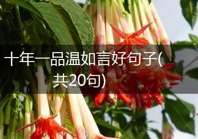 十年一品温如言好句子(共20句)